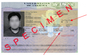 Visa Sample