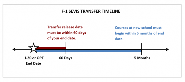 SEVIS f-1 timeline_0.PNG